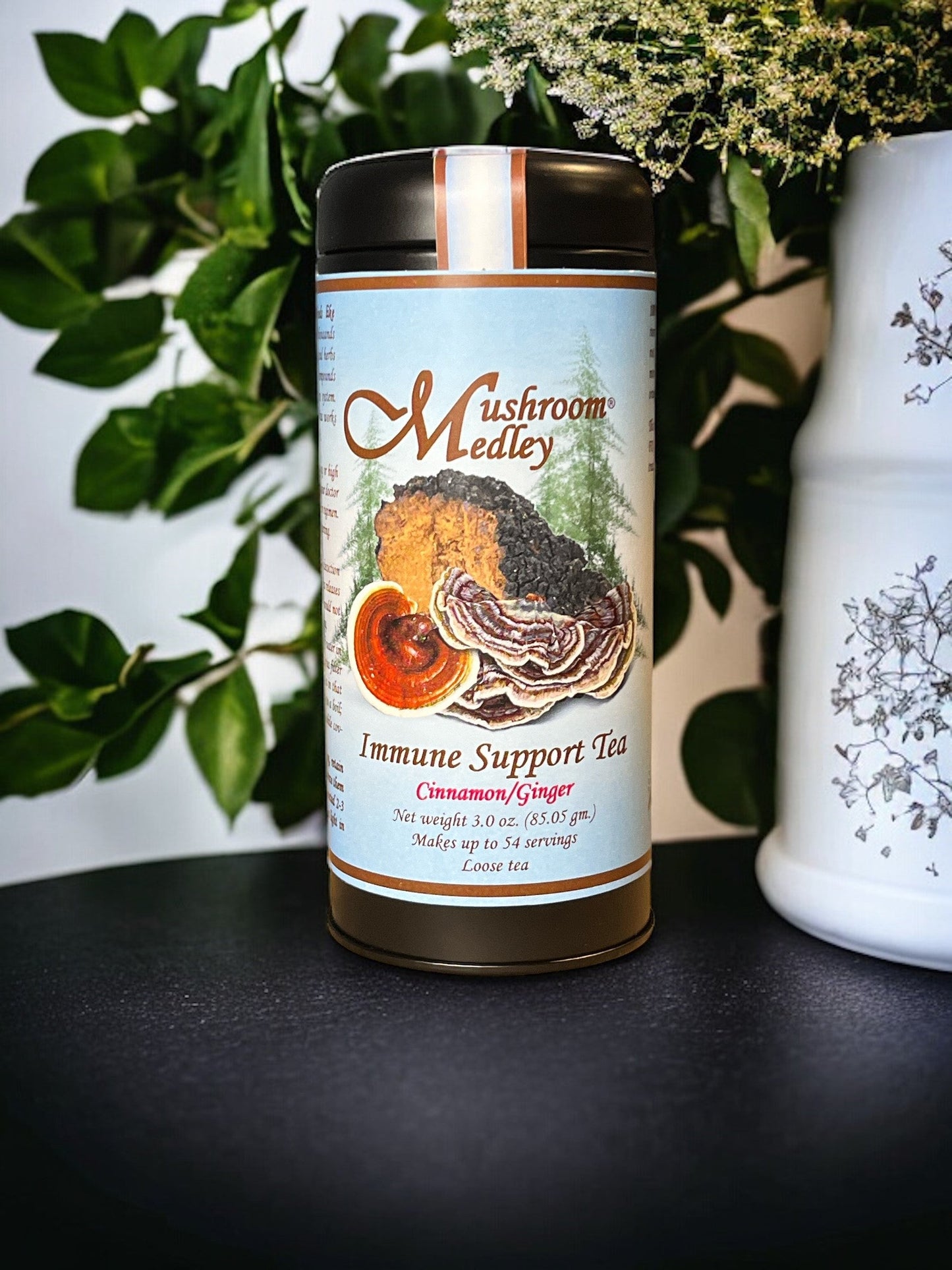 Immune Support-Mushroom Medley-Cinnamon/Ginger